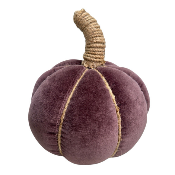 Pottery Barn Velvet Pumpkin Pillow Fig New With Tags 2023 READ - Picture 2 of 10